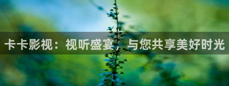 6080yy新视觉影院伦理