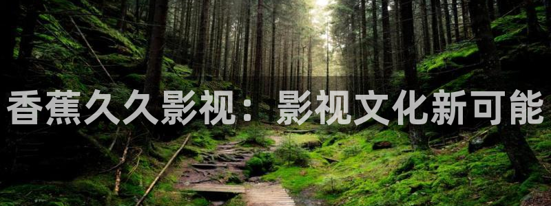 新视觉影视剧6080