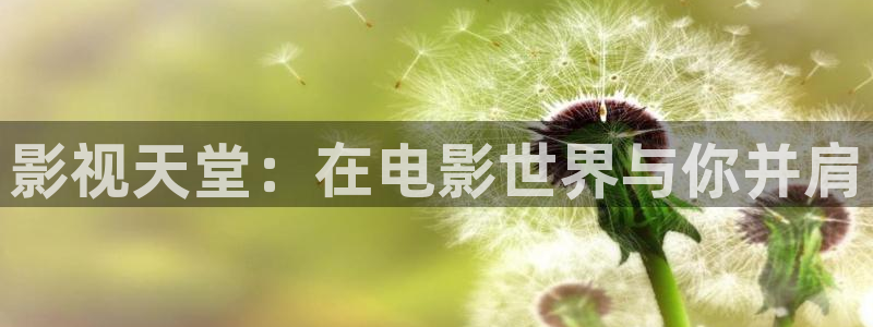 神马影院新视觉