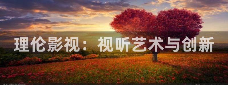新视觉影院不卡