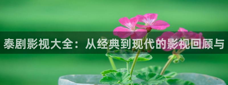 6080新视觉影视在线观看