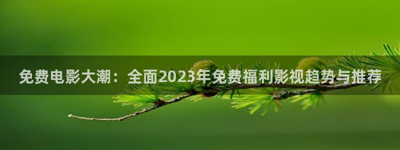 6080新视觉在线看片