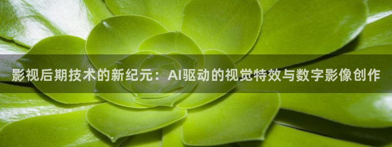 新视觉神秘影院