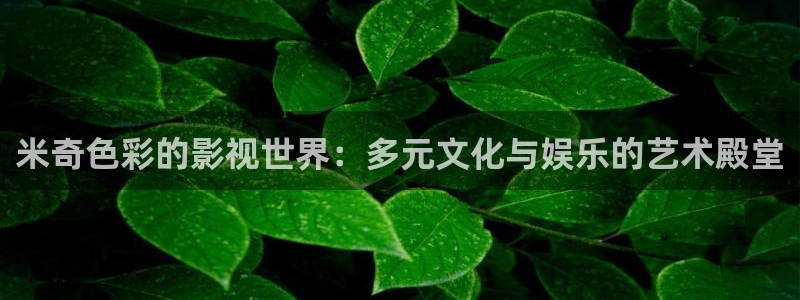 6080新视觉电影理论更新时间6080