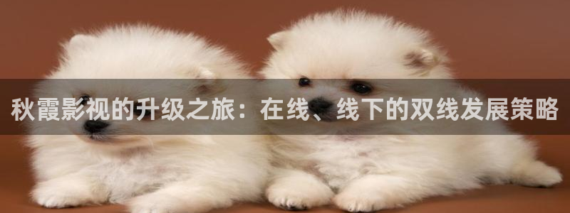 新视觉影院最新电视剧