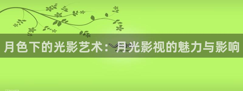 6080新视觉理论电视剧在线