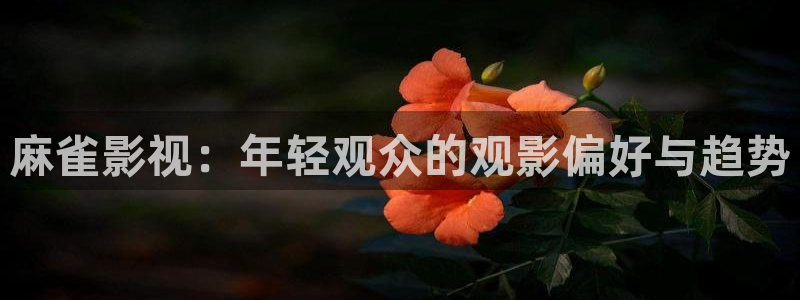 yy6090新视觉影院